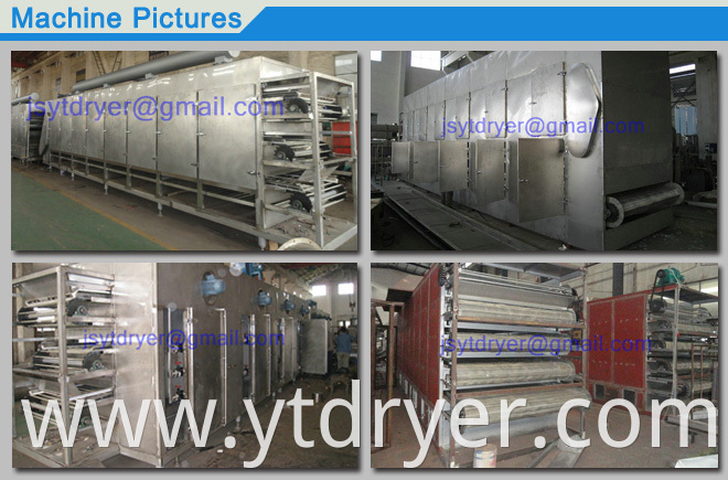 Multilayer Penetrating Belt Dryer